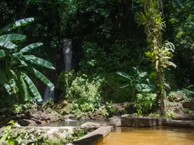 Papillote Tropical Gardens Papillote Tropical Gardens